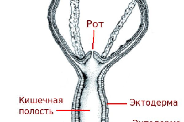 Сайт кракен что это такое